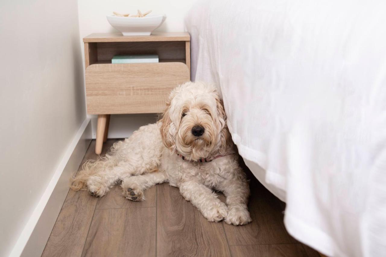 Deluxe Double Room Pet Friendly